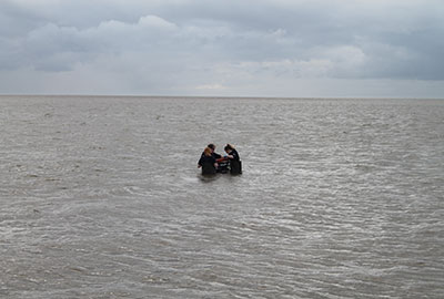 Stranded Porpoise Defies All the Odds