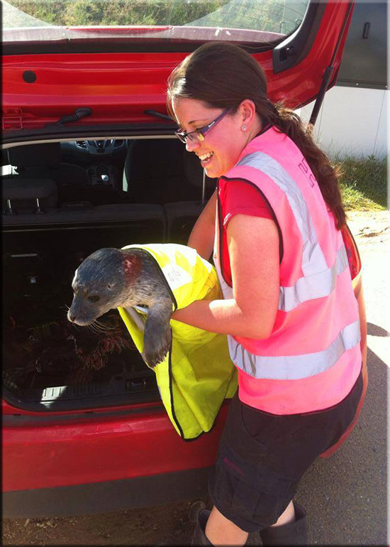 Hunstanton SEA LIFE Sanctuary