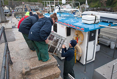 Seal Release - 27th August 2014