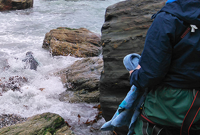 6 Lucky flipper off at a rate of knots - Photo by Sue Sayer CSGRT