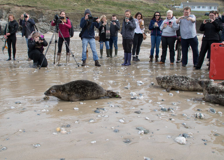 Seal Release 26th March 2018