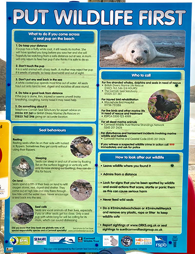 Sanctuary Appeals to put wildlife first