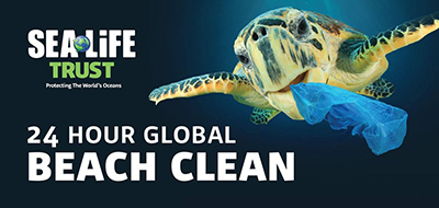 Sea Life Beach Clean