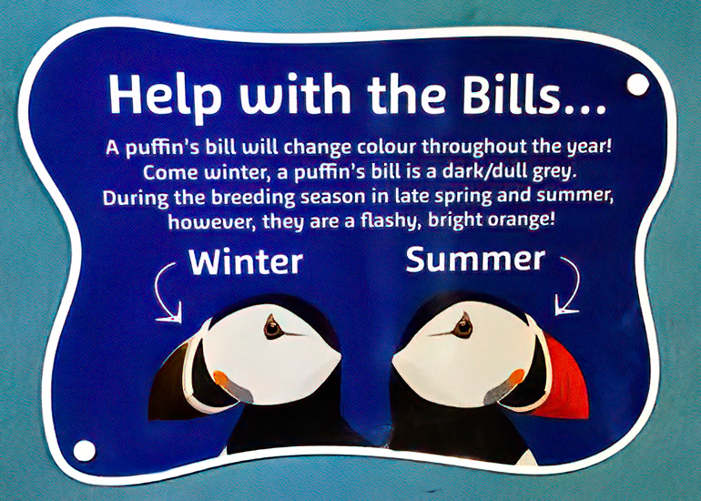 Photo Credit - Cornish Seal Sanctuary