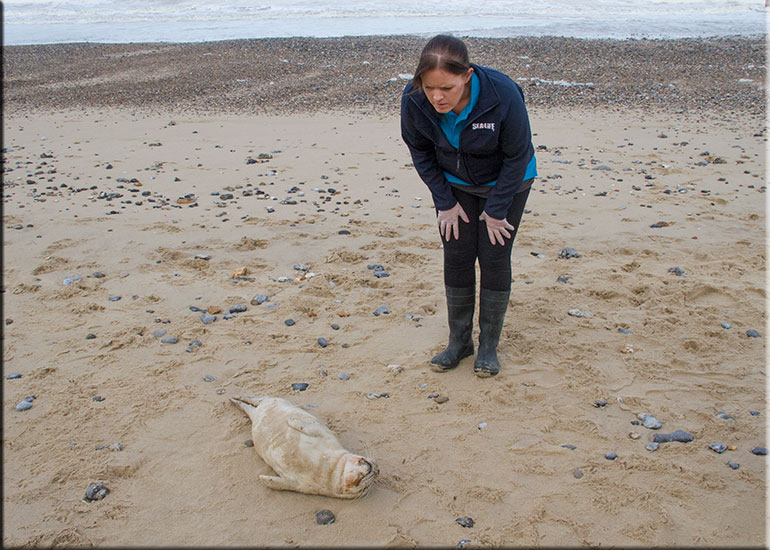 Hunstanton SEA LIFE Sanctuary