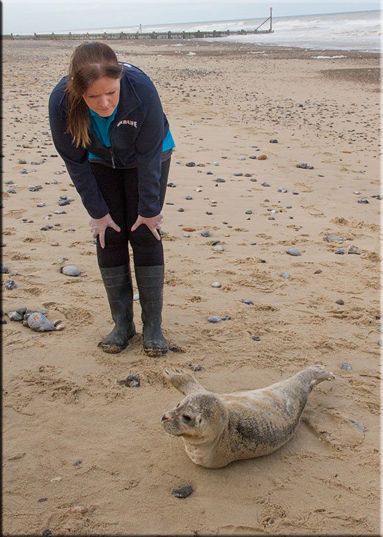 Hunstanton SEA LIFE Sanctuary