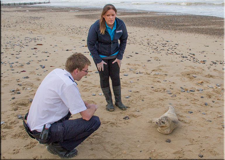 Hunstanton SEA LIFE Sanctuary