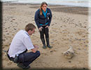 Rescued common seal pup - 15th October 2014