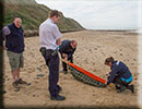 Rescued common seal pup - 15th October 2014