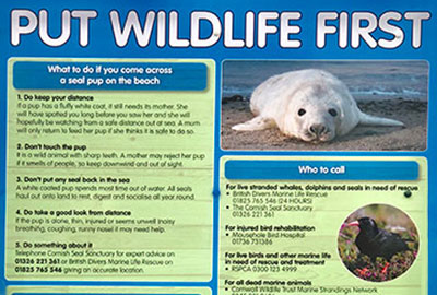 Put Wildlife First