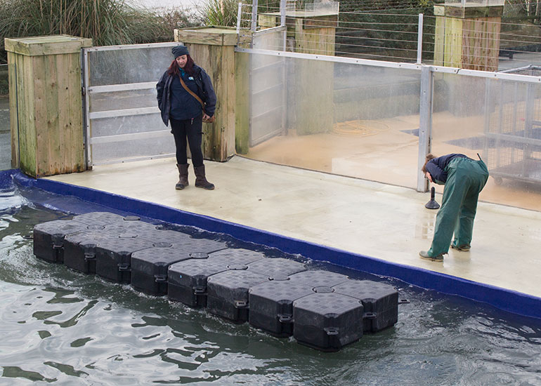 Kelly and Tamara putting together the pontoon for the grey seals