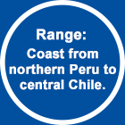 Range:  Pacific coast from northern Peru to central Chile