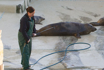 Ray's favourite day of the week is Pool Cleaning Day!