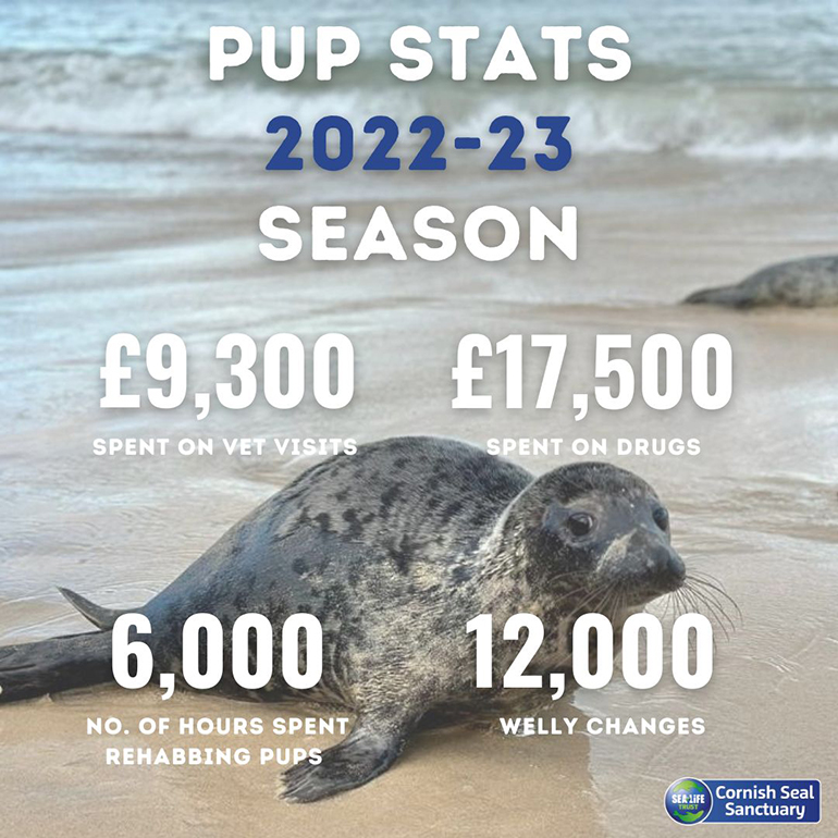 Cornish Seal Sanctuary's round-up of pup stats for the 2022-23 season