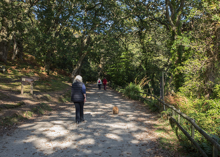 Woodland Walk to the Otters.  Dogs love this walk!