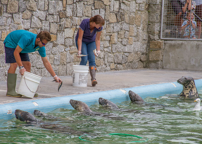 Feeding time