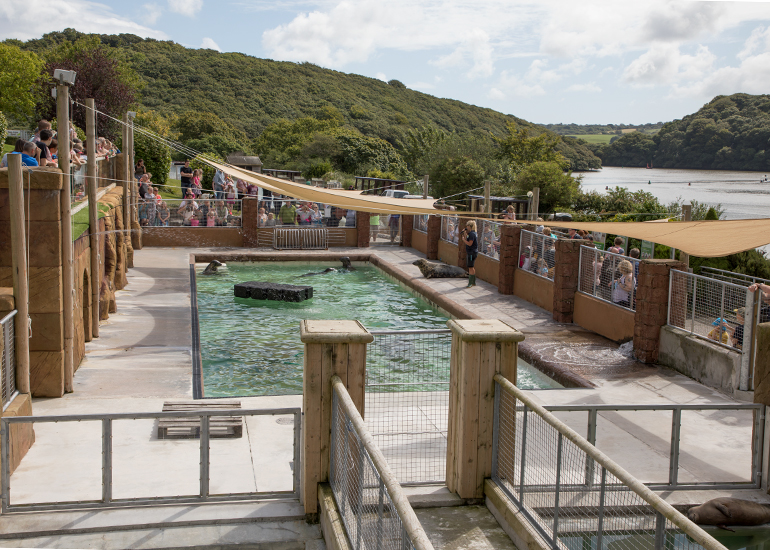 Convalescent Pool and Nursery Pools 