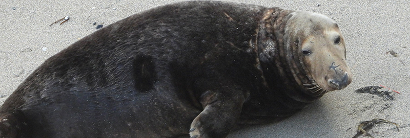 Riley - 26th September 2022