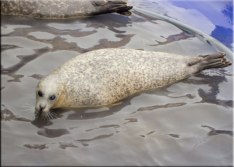 Sally - photo taken on 17th November 2015