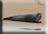 Seal Colony