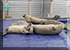 Seal Pool