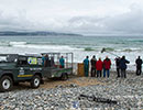 Seal Release - 2nd June  2014