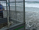 Seal Release - 4th July 2014