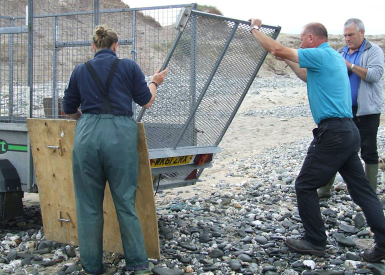 Seal Release - 4th July 2014