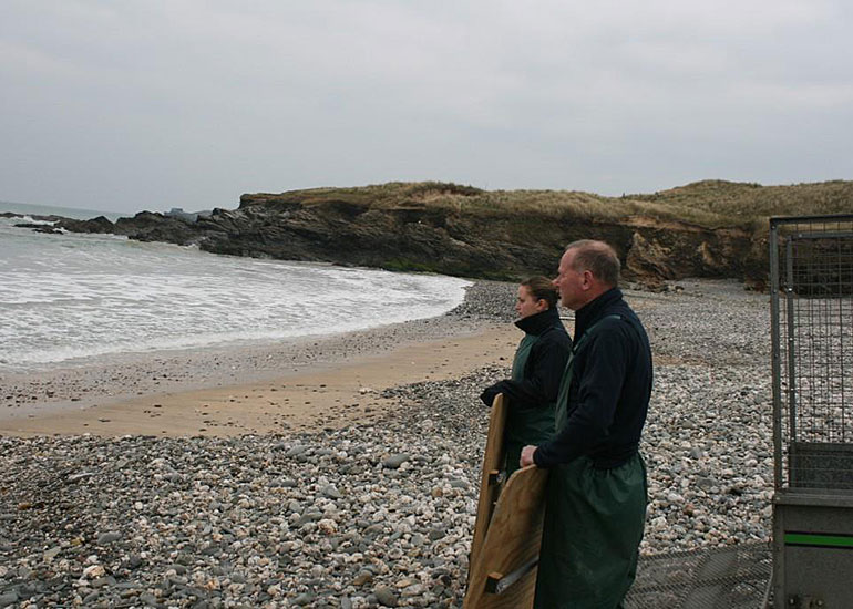 Seal Release - 12th February 2015