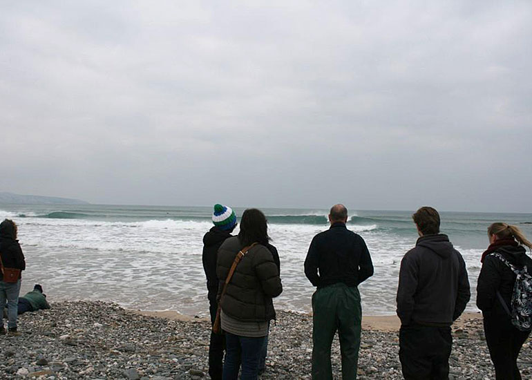 Seal Release - 12th February 2015