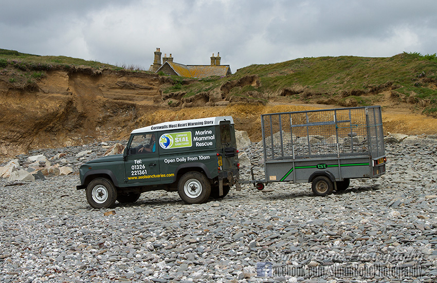 Seal Release - 23rd May 2014