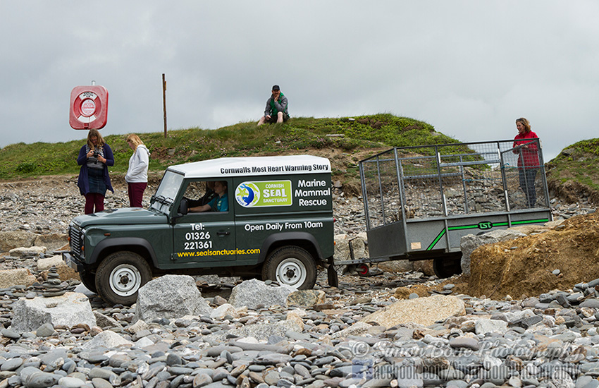 Seal Release - 23rd May 2014