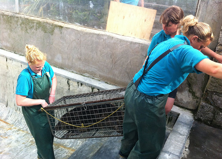 Seal Release - 26th June 2014