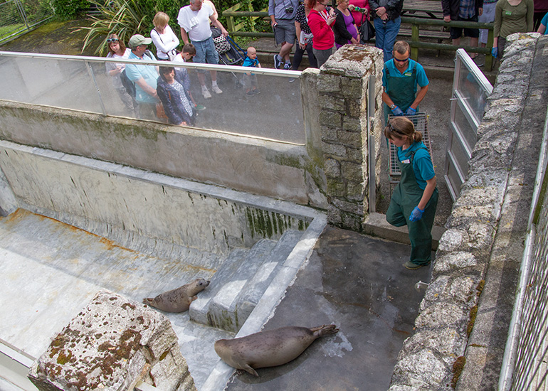 Seal Release - 28th May 2014