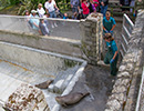 Seal Release - 28th May 2014