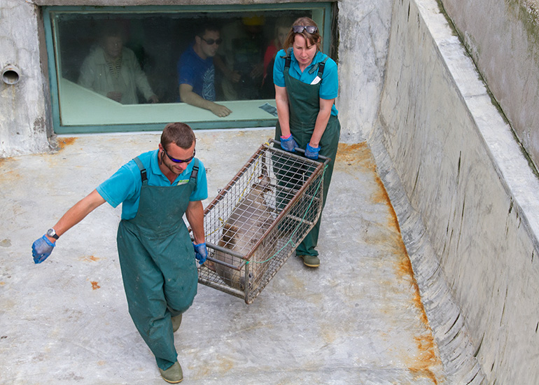 Seal Release - 28th May 2014