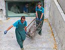 Seal Release - 28th May 2014