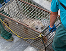 Seal Release - 28th May 2014