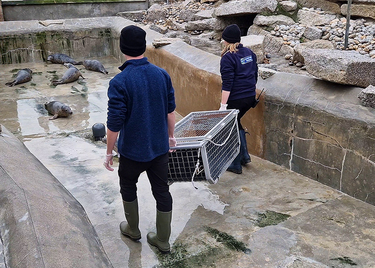 Seal Release - 3rd March 2023