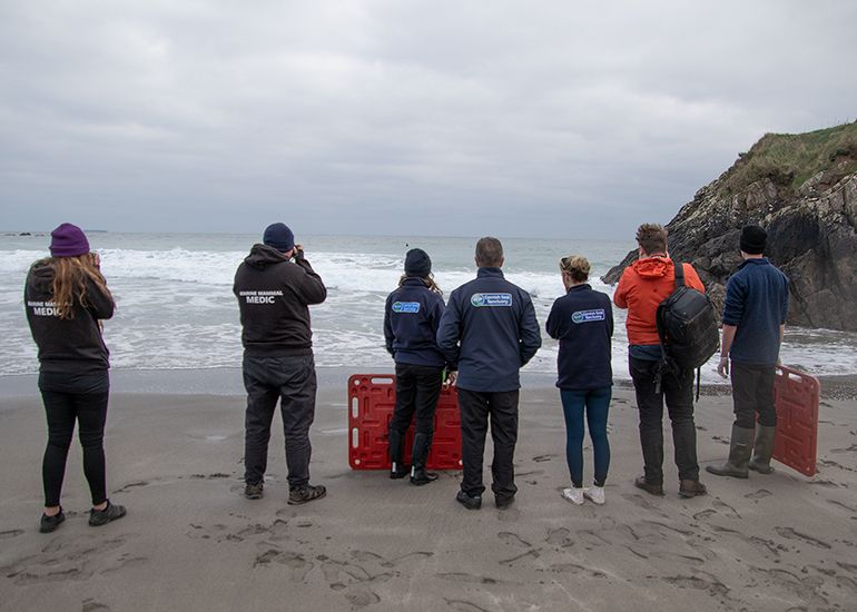 Seal Release - 3rd March 2023