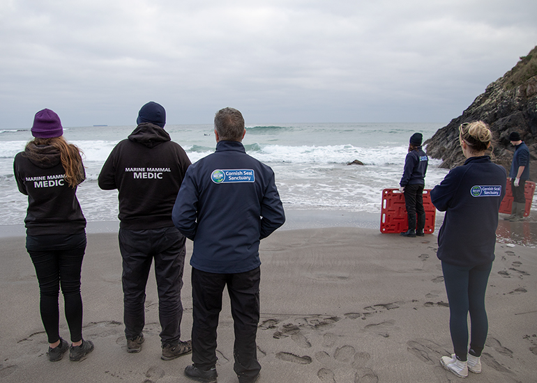Seal Release - 3rd March 2023