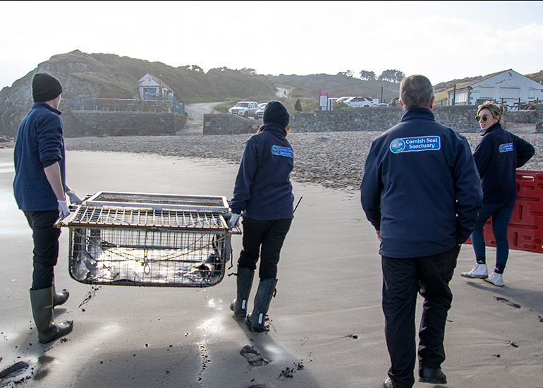 Seal Release - 3rd March 2023