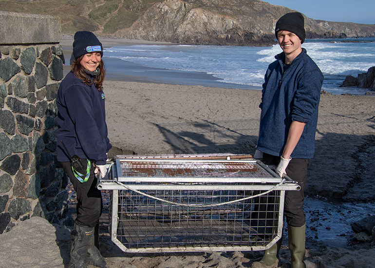 Seal Release - 3rd March 2023