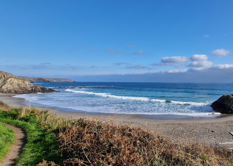 Seal Release - 3rd March 2023