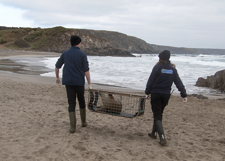 Seal Release - 3rd March 2023