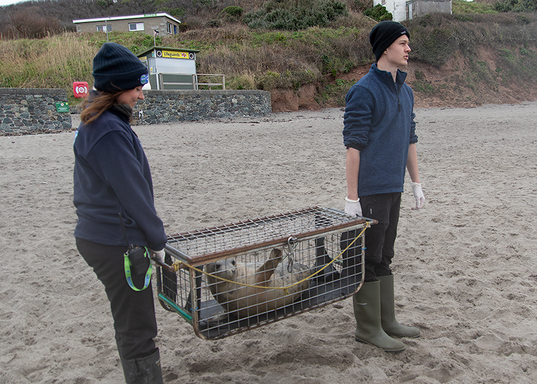 Seal Release - 3rd March 2023