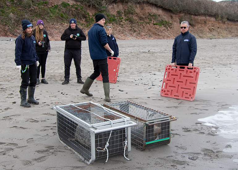 Seal Release - 3rd March 2023