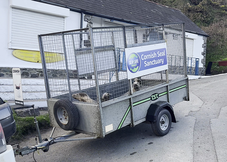 Seal Release - 3rd April 2023