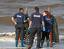 Seal Release - Nesquik and Rubicon