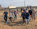 Seal Release - Nesquik and Rubicon